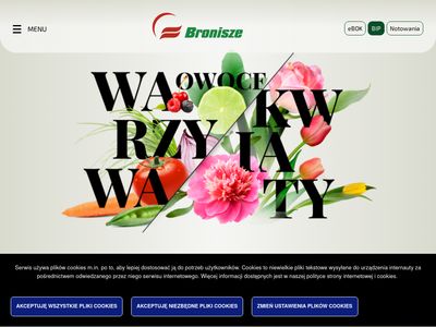 bronisze.com.pl