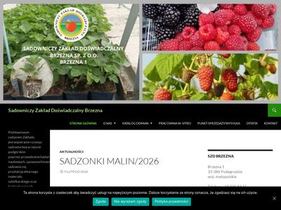 brzezna.pl