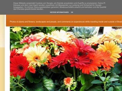 gingersflowers.blogspot.com