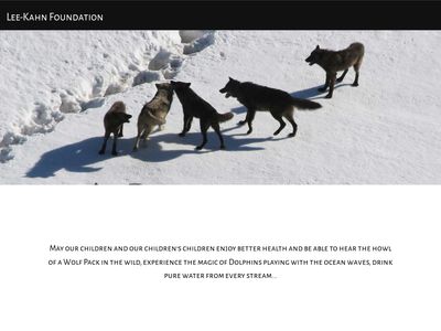 lee-kahn.org