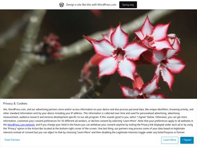 lensvanliesel.wordpress.com