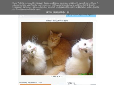 pakcupet.blogspot.com